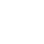 google-white-icon